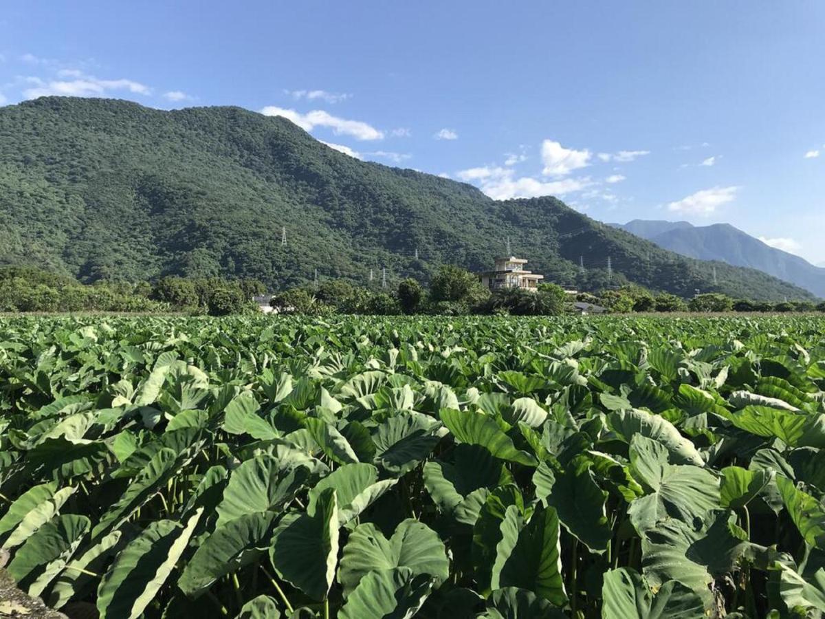 花蓮金澤居民宿樹窩民宿御安居民宿寵物友善 Ji'an Exterior foto